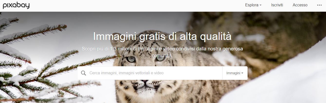 pixabay