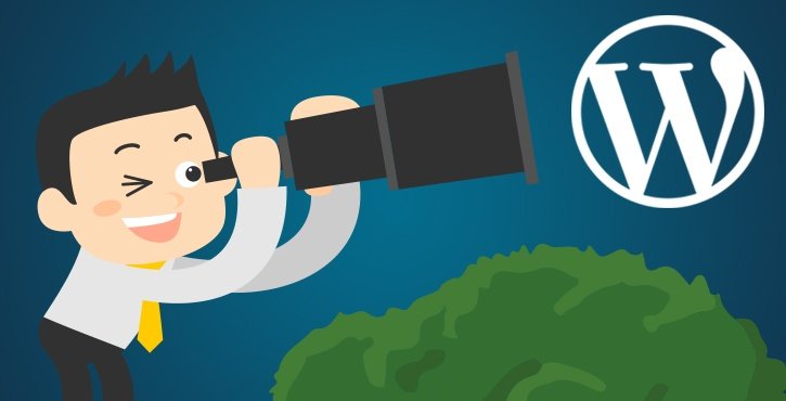 Come-scoprire-il-tema-e-i-plugin-di-un-sito-WordPress