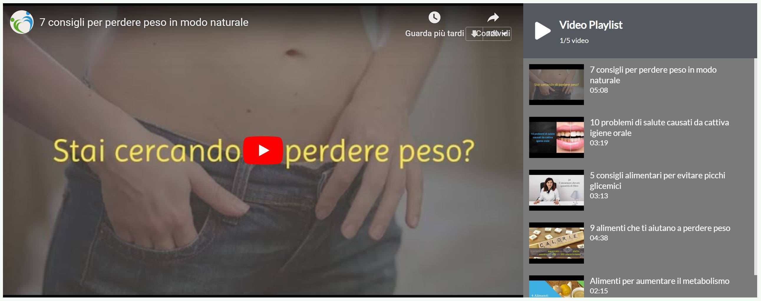 plugin youtube