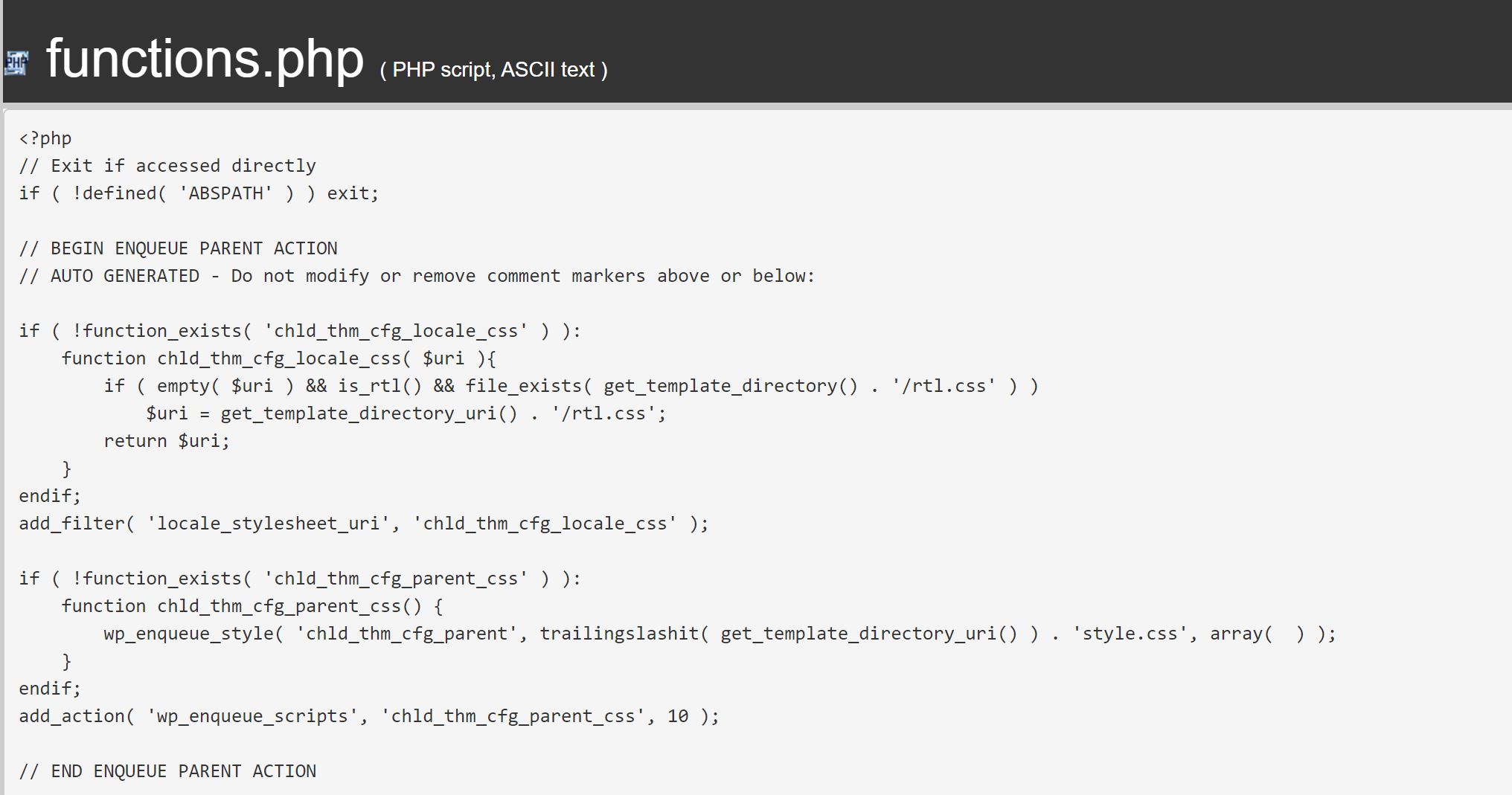 Function tema child WordPress
