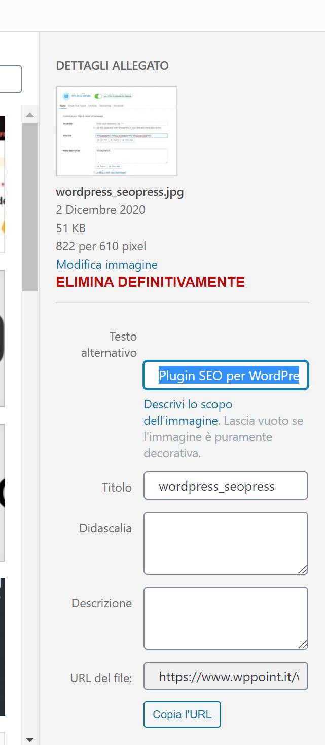 seo per wordpress